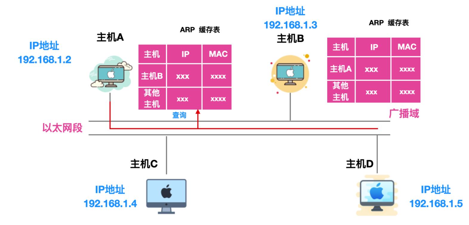 稳了字幕翻译,arp协议详解图解