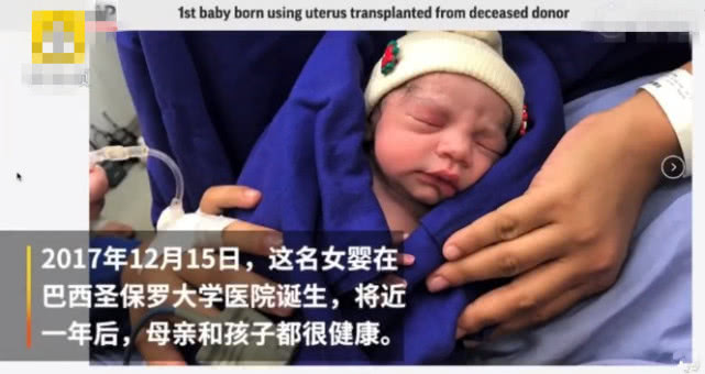 无子宫生娃,无子宫可以做试管生孩子吗