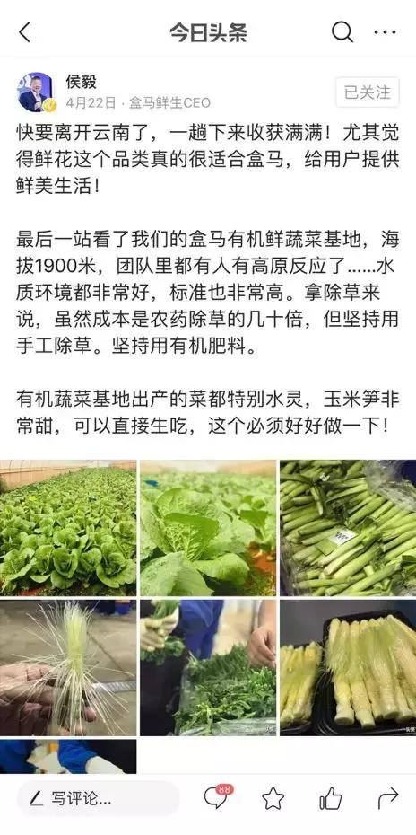 盒马10年增长多少亿,盒马发家史