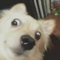 打字录入员的兼职是真的吗,兼职打字录入员真的假的