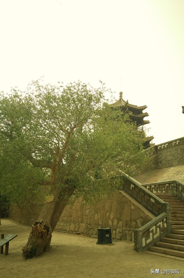 鸣沙山月牙泉堆满了游客,鸣沙山月牙泉景区