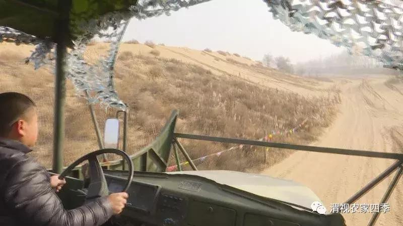 大荔金沙岛好玩的地方,大荔县金沙岛