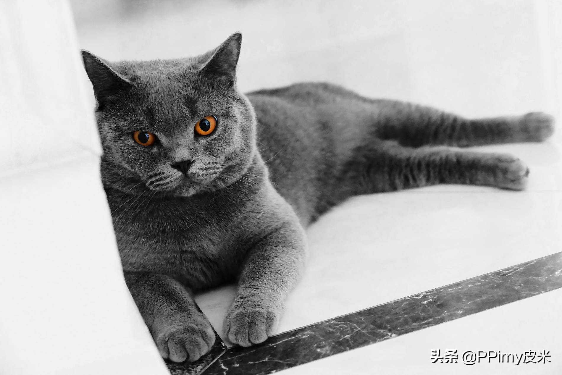 松下相机lx100m2使用感受,松下lx100m2相机官方标配版开箱