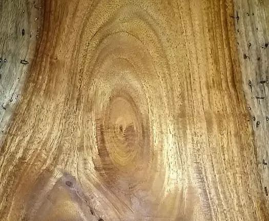 国标红木29种高清图,29种国标红木排名及价格