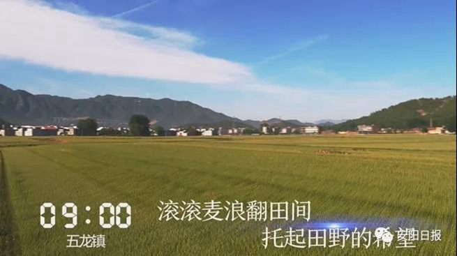 安阳一天24小时发生的事,一天24小时发生了哪些事