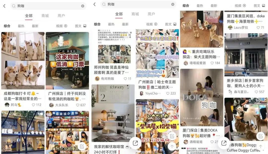 在三里屯体验网红狗咖｜求治愈遭狗子冷淡回应，顾客寥寥无几，我花89元看狗打架1小时