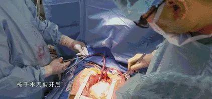 生死面前，医生患者本是同盟