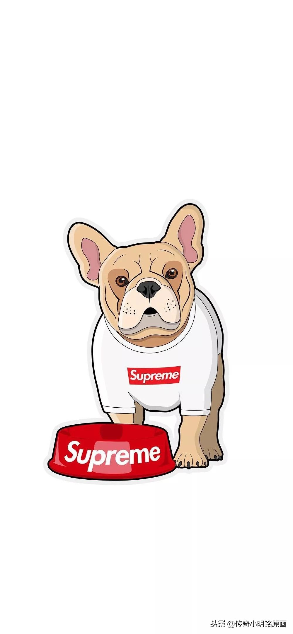 平板电脑扁平插画教程图,潮流插画图片高清