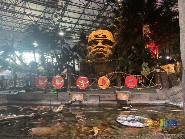 北京海洋馆超大锦鲤,北京海洋馆锦鲤