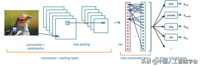 CAAIAIDL第八期演讲实录丨洪宇:信息抽取的常识与前沿