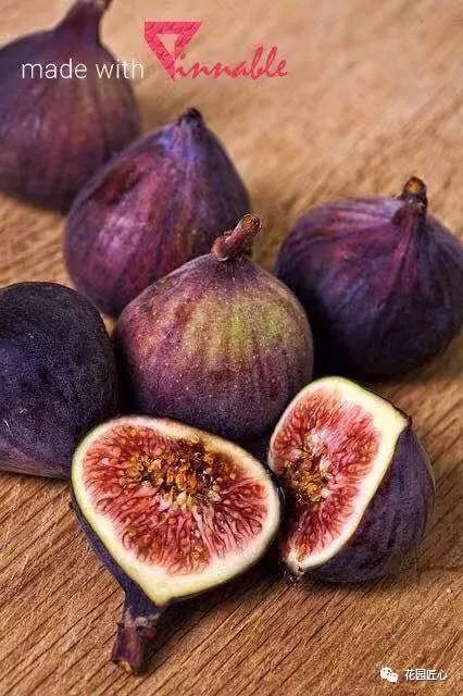 想自己种一棵树,想种自己的树