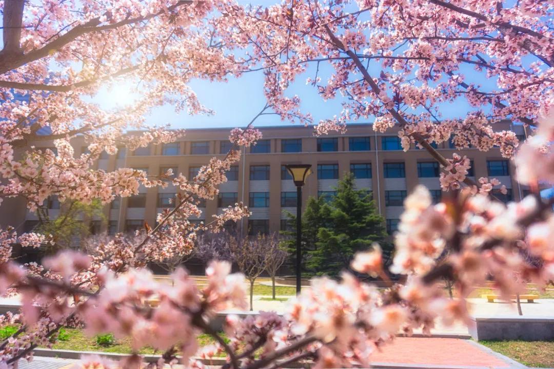 三亚和厦门哪一个更值得去旅游,三亚和厦门哪个地方值得去