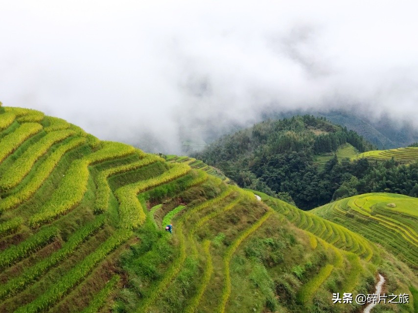 不去后悔去了更后悔,不去后悔去了