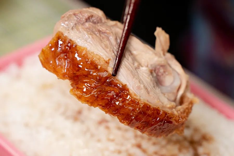 魔都粉鸭哪家好吃,烧鸭油鸡饭哪个好吃