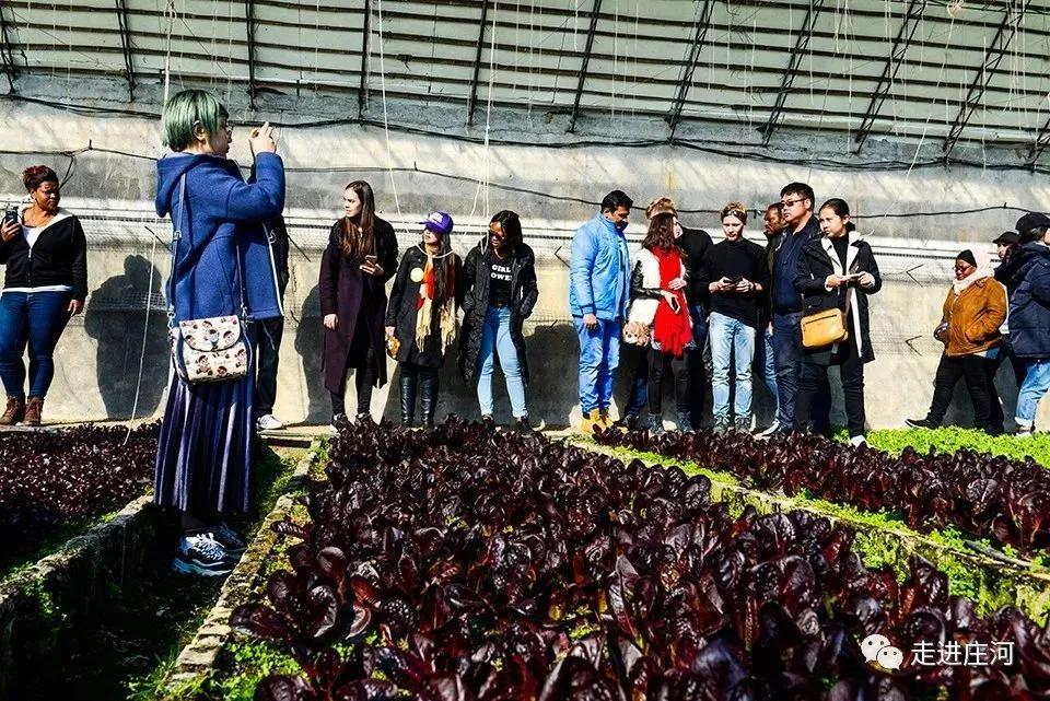 大连庄河这个城市怎么样,大连庄河前景如何