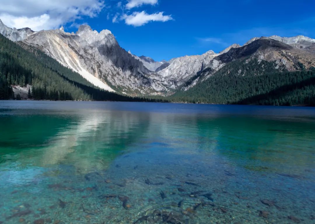 丁真和四川什么关系,丁真背后是谁