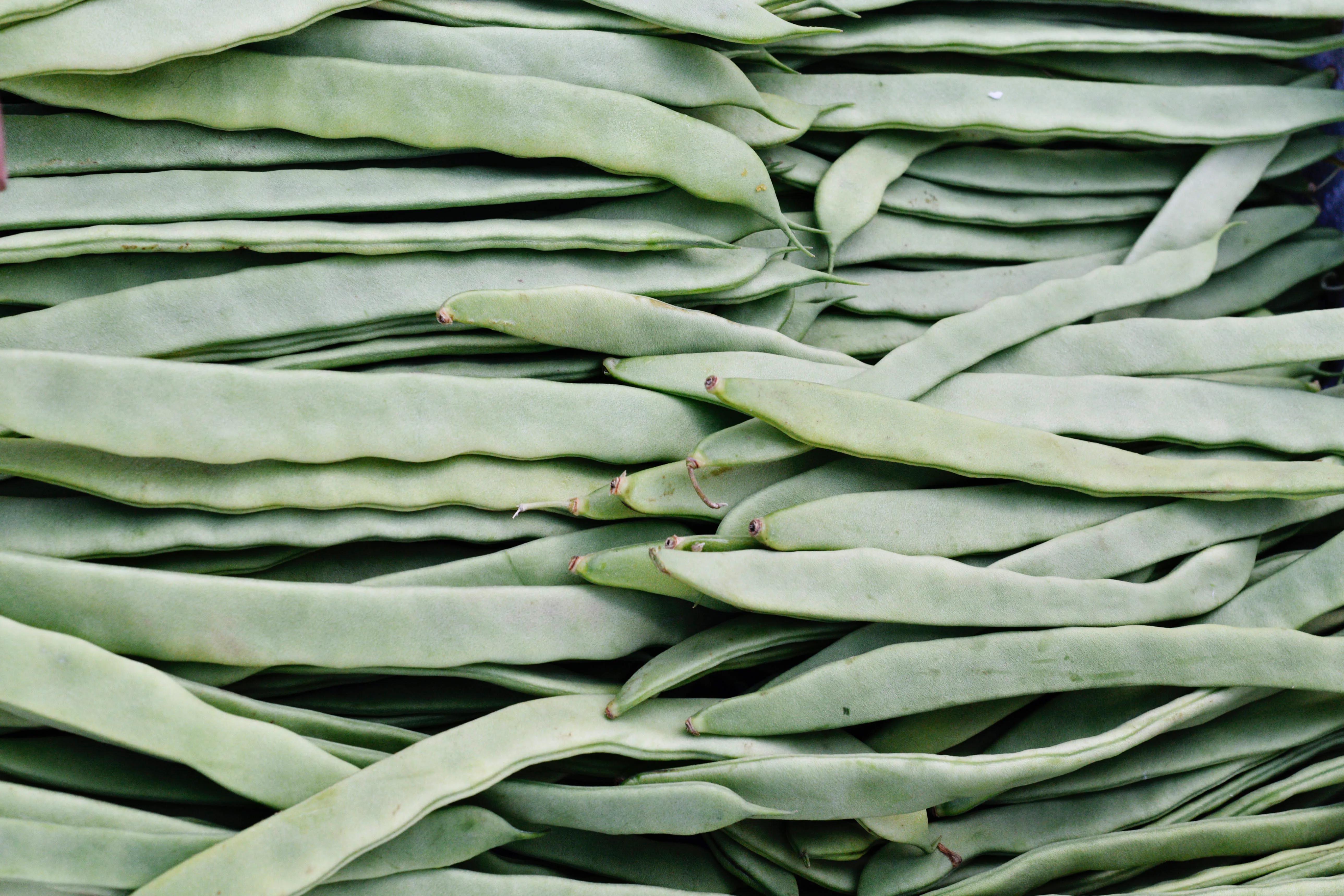 什么蔬菜灭绝了,盘点那些曾经的蔬菜