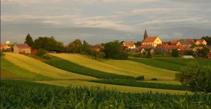 虫子叮了一口，阿姨全脸暴肿差点窒息！医生提醒这些楼层的居民要注意……