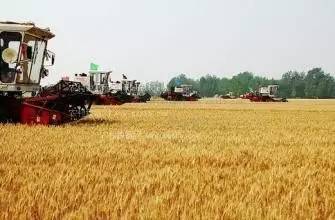 国家农业综合开发项目,国家现代农业产业园有何扶持政策