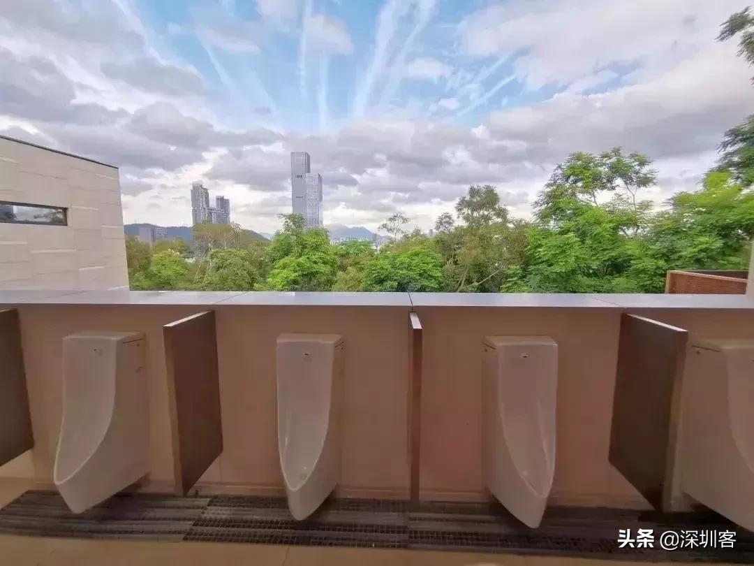 不在深圳的这七天，你水土不服了吗？