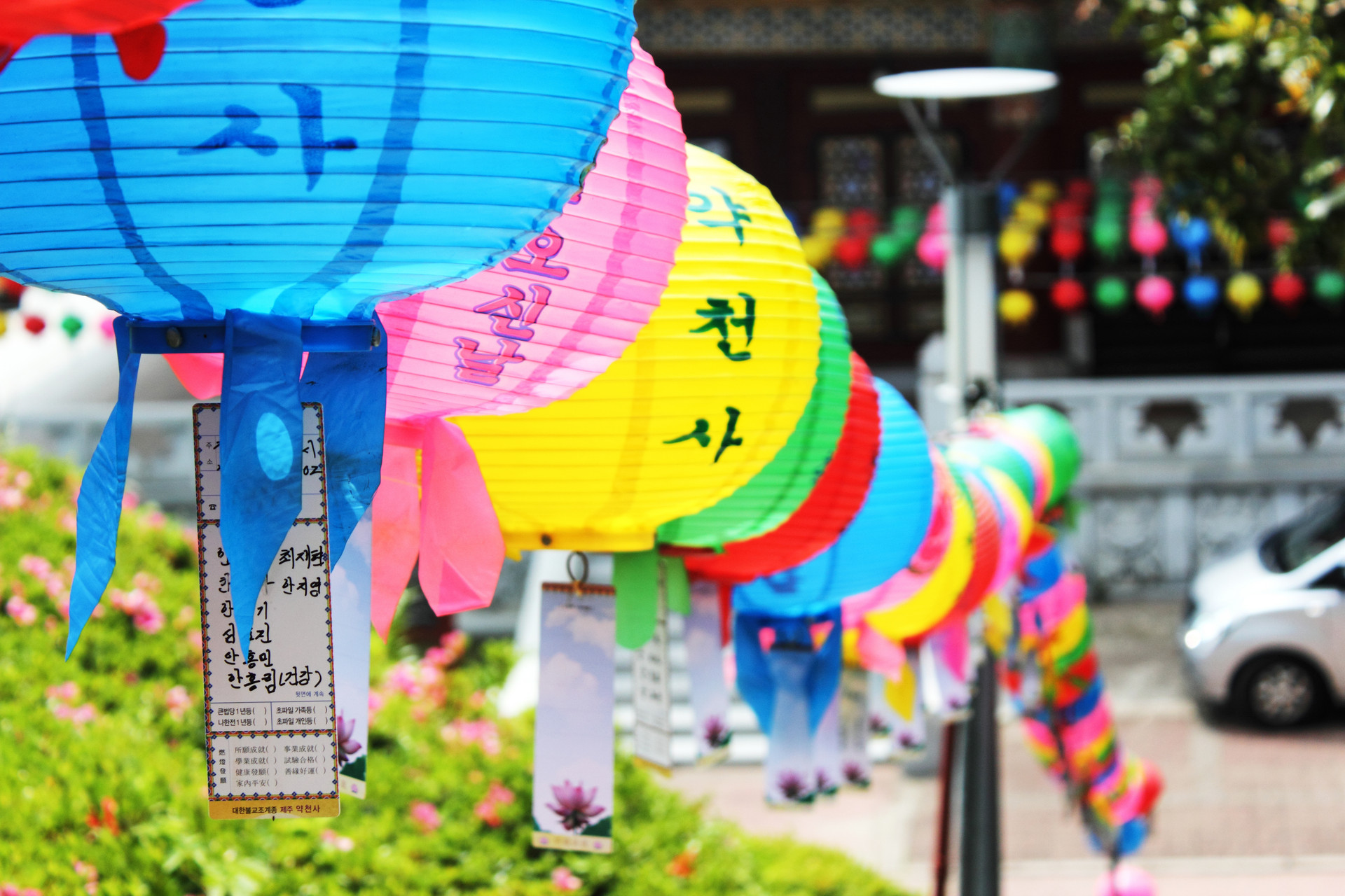 济州岛旅游攻略好吃的,济州岛著名景点排行榜前十名