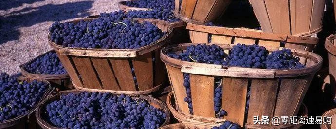 喝葡萄酒中毒在家里有偏方可解吗,自酿葡萄酒甲醛超标中毒怎么办