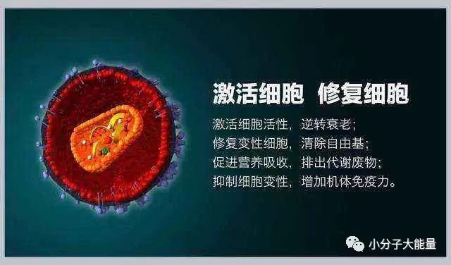 肽营养学与肽临床营养学,临床肽营养学