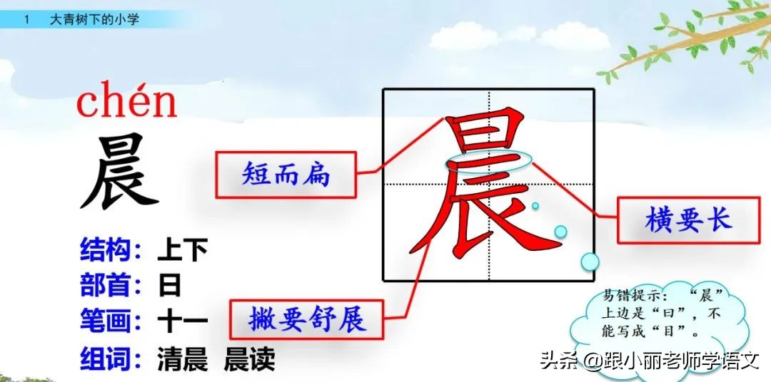 大青树下的小学必会知识点,大青树下的小学必考知识点