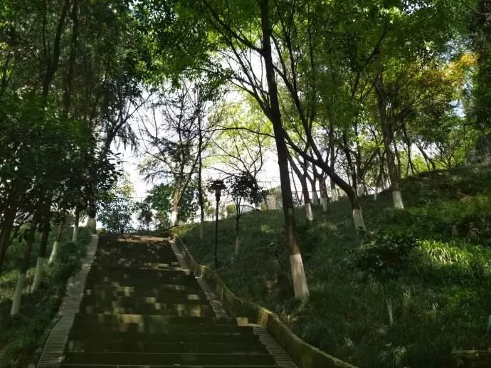 重庆春日踏青哪里好玩,重庆游玩攻略春天赏花