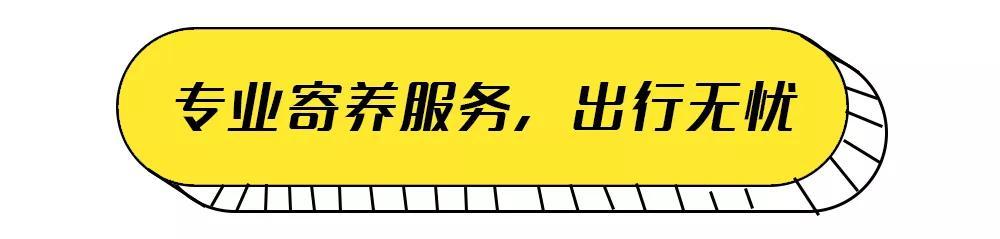 可以去玩的宠物乐园,1000平宠物乐园