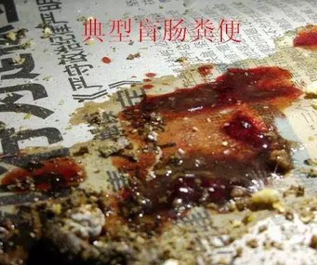 养鸡如何防止球虫,球虫病没有药怎么办