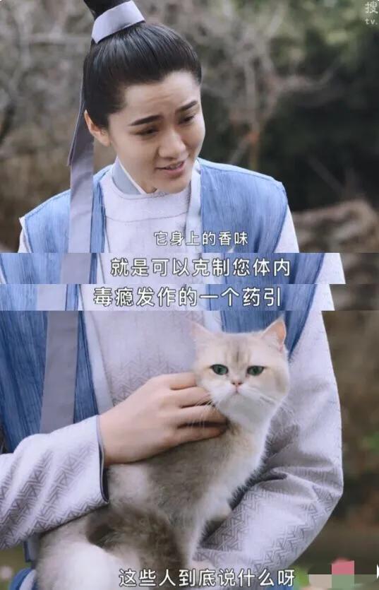 宫廷太监爱上大学校花？“禁穿越”的第8年，真是越来越可笑了