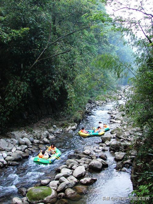 黑山谷深度洗肺,重庆黑山谷游记