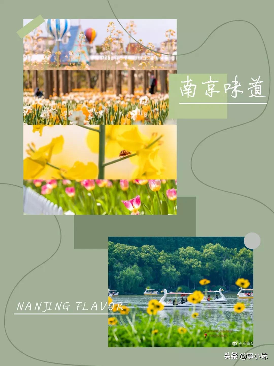 南京是什么味的,南京以什么口味为主