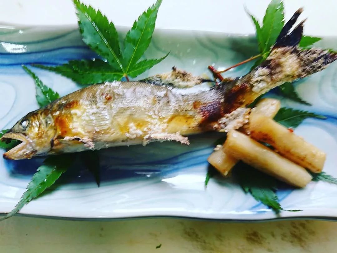 世界顶级淡水鱼大全,世界上顶级鱼类大全