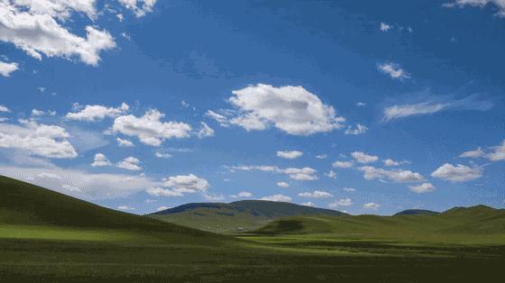 313羊庄开发区店6人套餐,313羊庄直营店