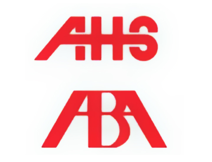 logo设计这12种方式你学过没,小学队旗logo霸气创意图案大全