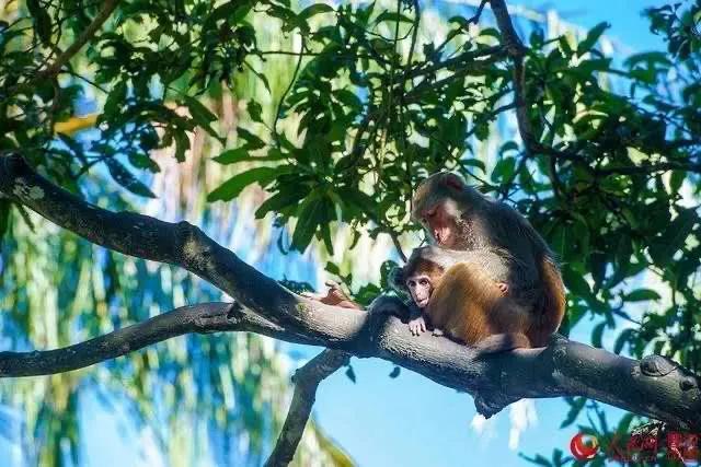 为什么没钱却想去旅游,为什么有些人没钱还要出去旅游