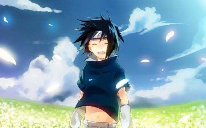 火影忍者理智,火影忍者佐助为什么那么惨