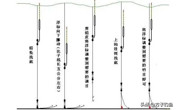写给钓鱼的文章,给钓鱼初学者的话