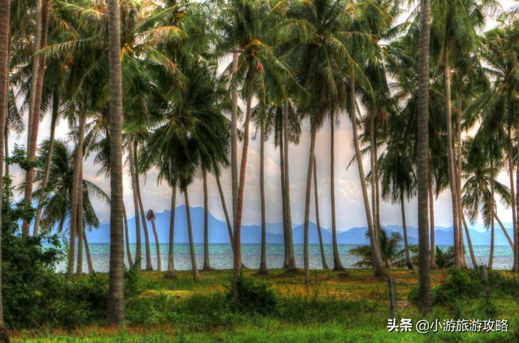 潜水小白必看,潜水圣地三天旅游攻略