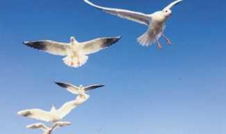 孟达天池风光拍摄,孟达天池适合旅游吗