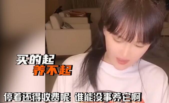 赵本山买私人飞机被罚款多少,赵本山小品卖飞机