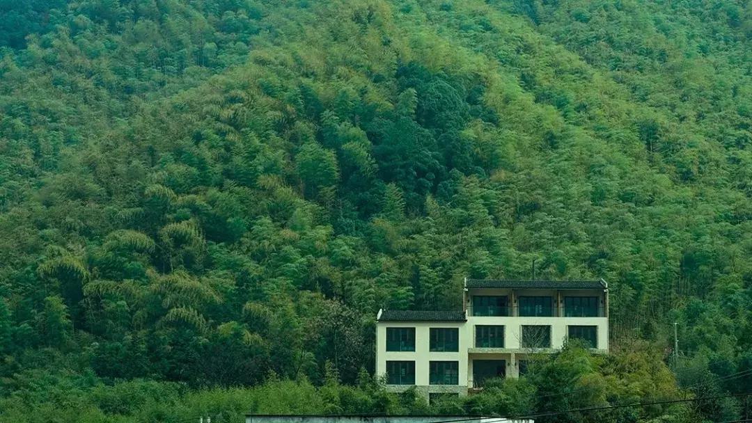 莫干山独一无二的酒店,莫干山像酒店一样的民宿