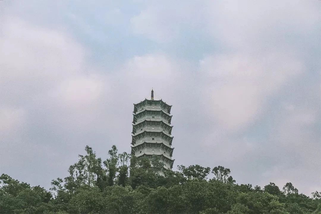 深圳经典一日游路线也太好玩了,深圳一日游经典线路