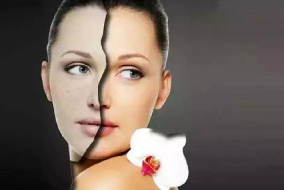 男人女人对色情片的态度