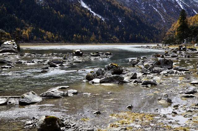 四川旅游网官方网站,四川旅游网图