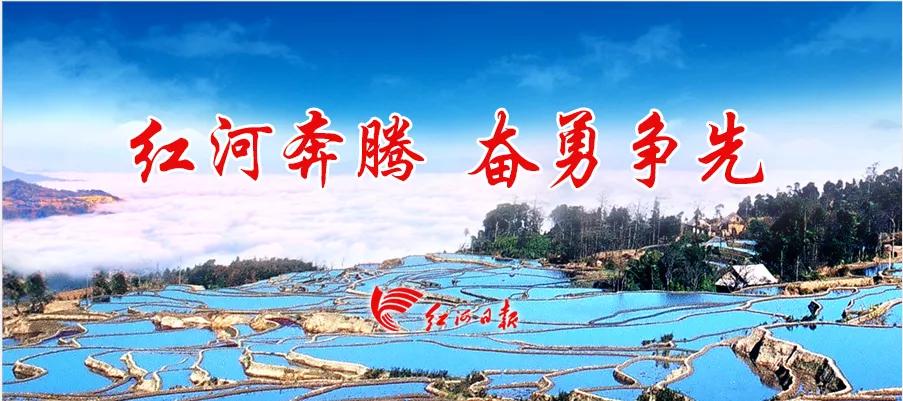 专访！如何学习贯彻州委经济工作会议精神，泸西县县长这么说