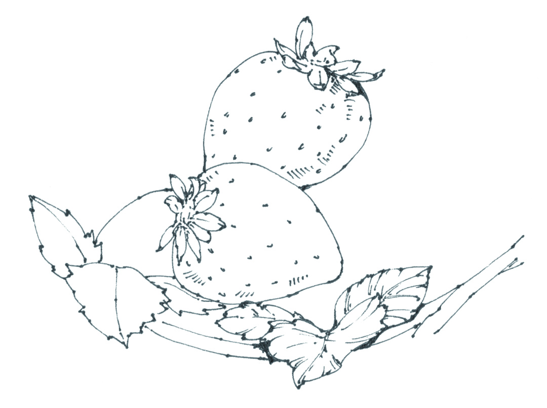 蓝莓味的章鱼小丸子,草莓章鱼小丸子口味