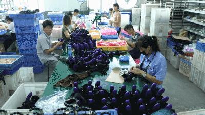 疫情以来避孕套销量,疫情期避孕套销量